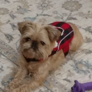 Meet your Posher, Jill